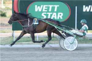 Garantien in der V6-Wette, Vierer- und Daily Double-Wette Garantien in der V6-Wette, Vierer- und Daily Double-Wette