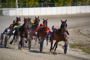 PMU-Renntag mit dem Derbyversuchsrennen und dem Karl Bürger GR 2023