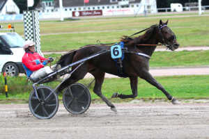 Letzter Test vorm Grand Prix-Meeting