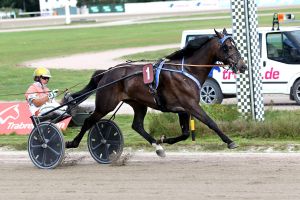 Michael Nimczyk und fast kein anderer Michael Nimczyk und fast kein anderer