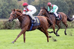 Lordano gewinnt das Silberne Pferd im Großen Saisonfinale