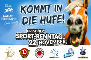 Volle Boxen beim Sport-Renntag