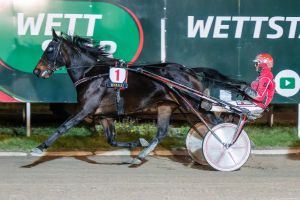 One Penny Black im Heatrennen zweimal in überlegener Manier One Penny Black im Heatrennen zweimal in überlegener Manier