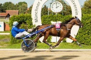 PMU-Matinee zum Dezember-Start PMU-Matinee zum Dezember-Start