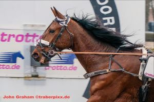 John Graham und Limbo K. Newport imponieren