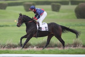 Erster Düsseldorf International Raceday