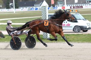 Hattrick und hundert Prozent