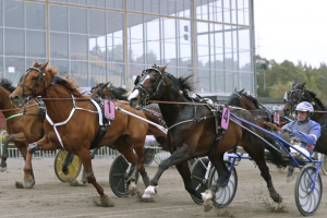 Der ATG „V75 Spring Burst“ startet am Donnerstag