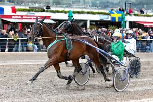 Schwarzer Steward und zwei hohe Wett-Garantien