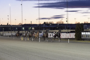 Das Finale der „V75 Spring Races“ steht an