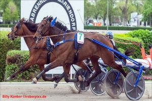 Peter Platzer ist der Fritz-Brandt-Sieger 2025 Peter Platzer ist der Fritz-Brandt-Sieger 2025