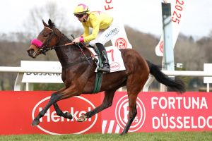 Henkel-Stutenpreis eröffnet Düsseldorfer Sport-Wochenende