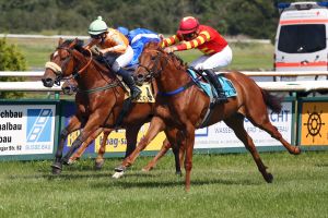 Aufgalopp im Herrenkrug