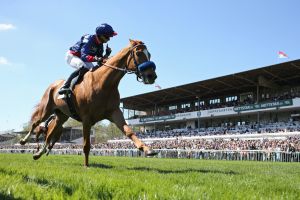 Irish Raceday mit „Berlin-Marathon der Galopper“