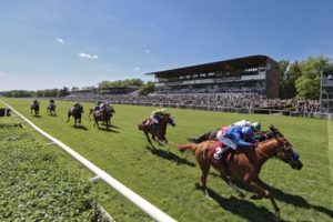 Flatten the Curve gewinnt das Oleander-Rennen