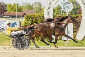 Großer Preis von Bayern und Gold-Cup die Daglfing-Highlights