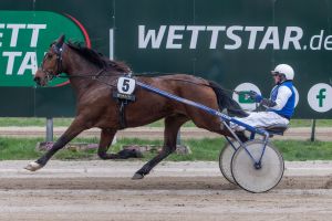 9 spannende Rennen am Mittwochabend auf der Trabrennbahn Karlshorst